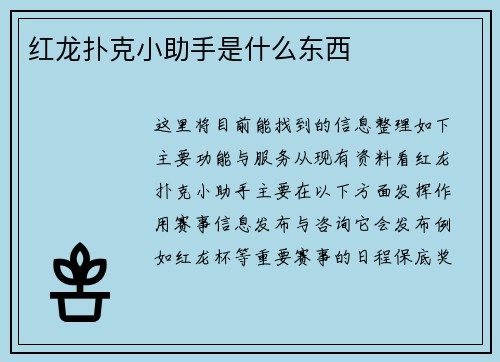 红龙扑克小助手是什么东西